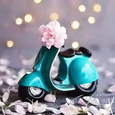 attractive standard vip standard whatsapp dp